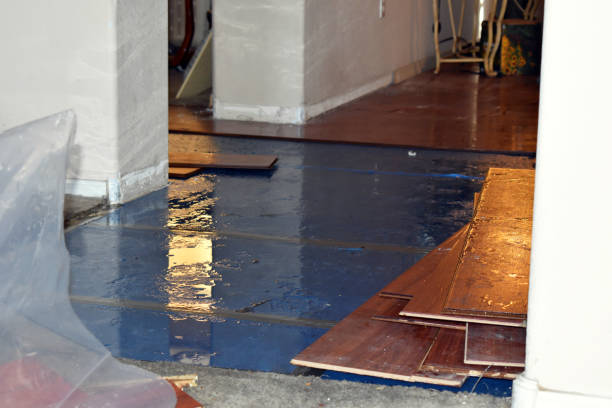 Professional Basement Flood Cleanup technician working in Springlake, TX